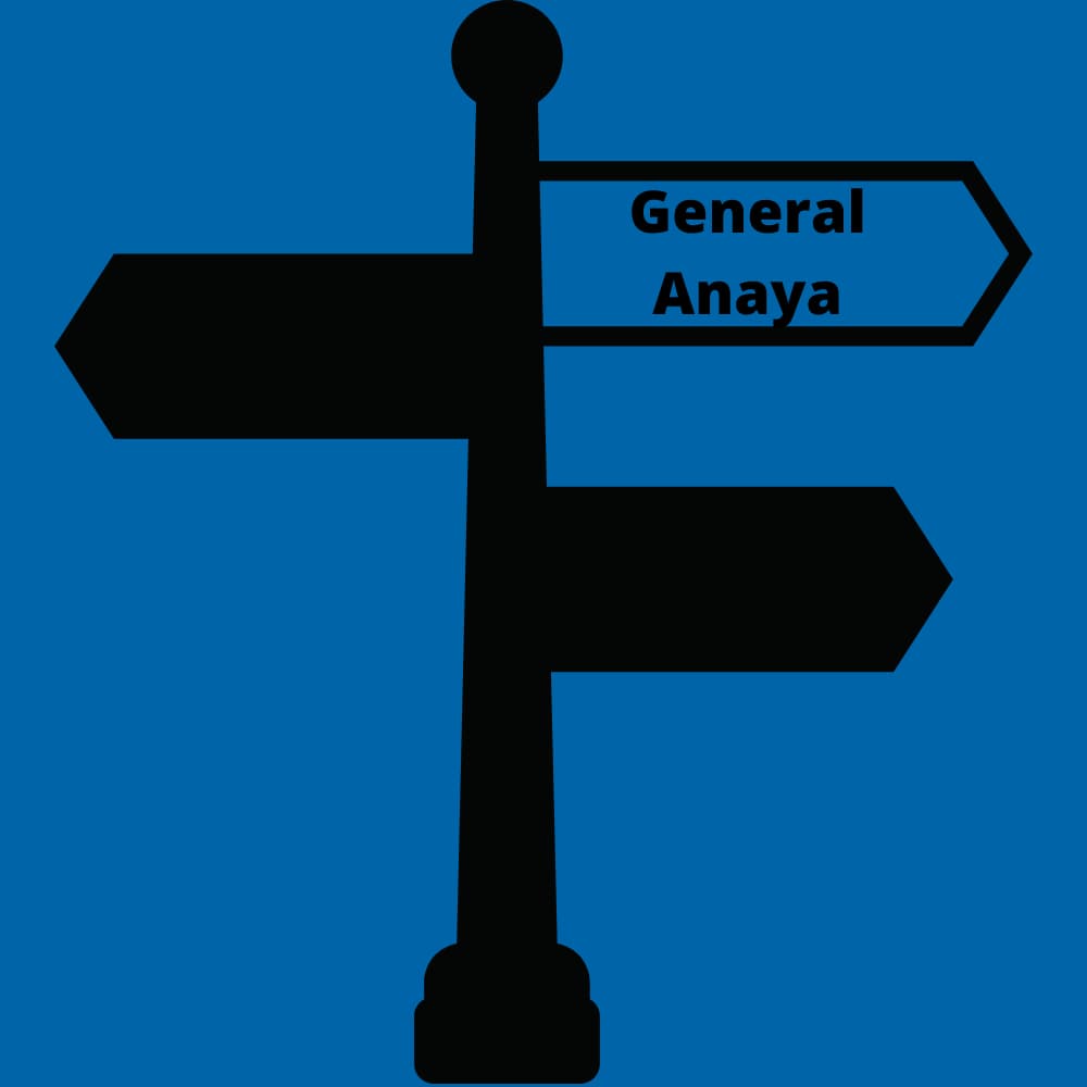 General Anaya
